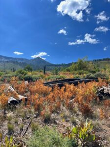 Lake Tahoe fall